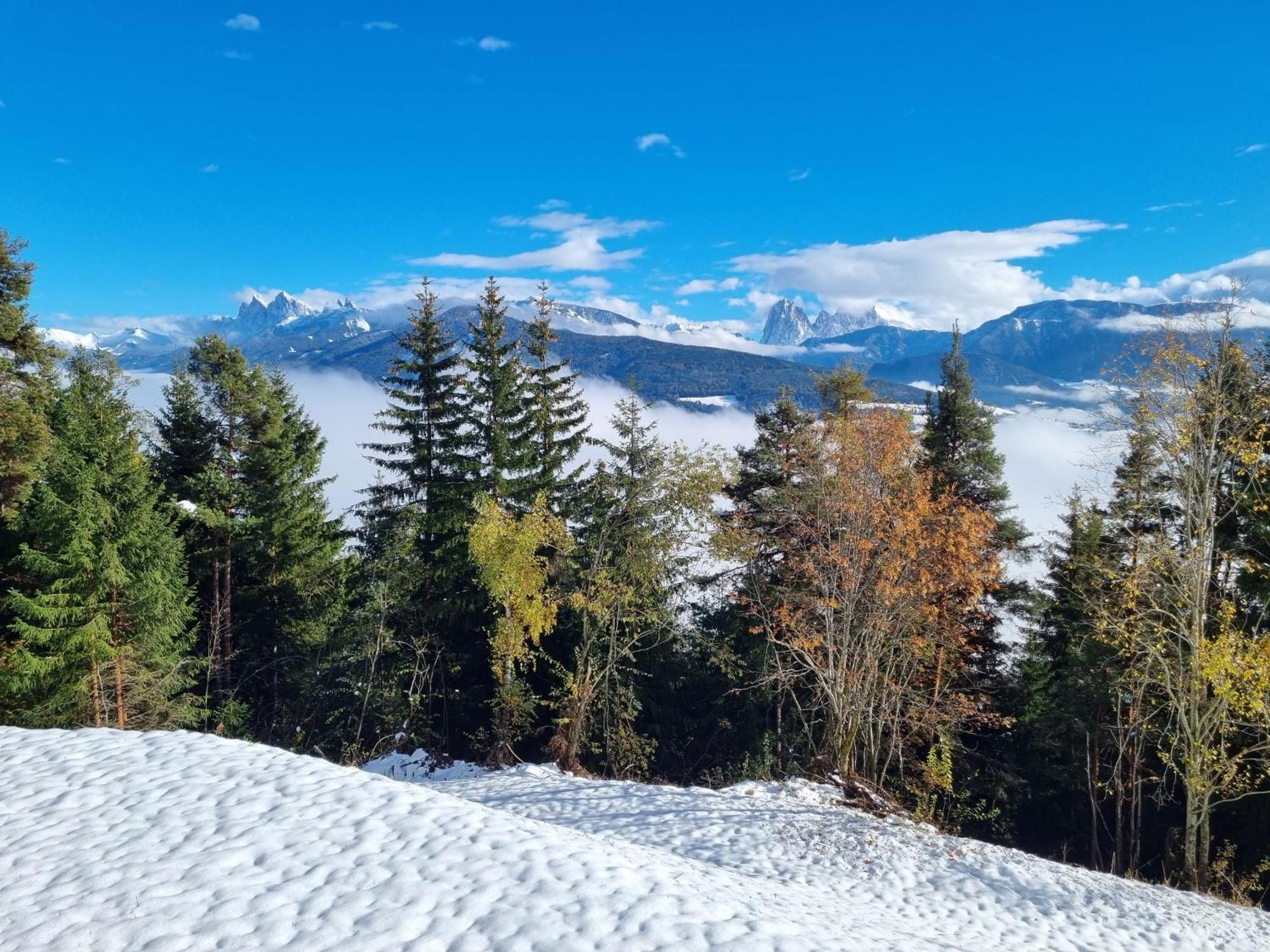 Alone In Chalet With View On Dolomites วิลลานโดร ภายนอก รูปภาพ